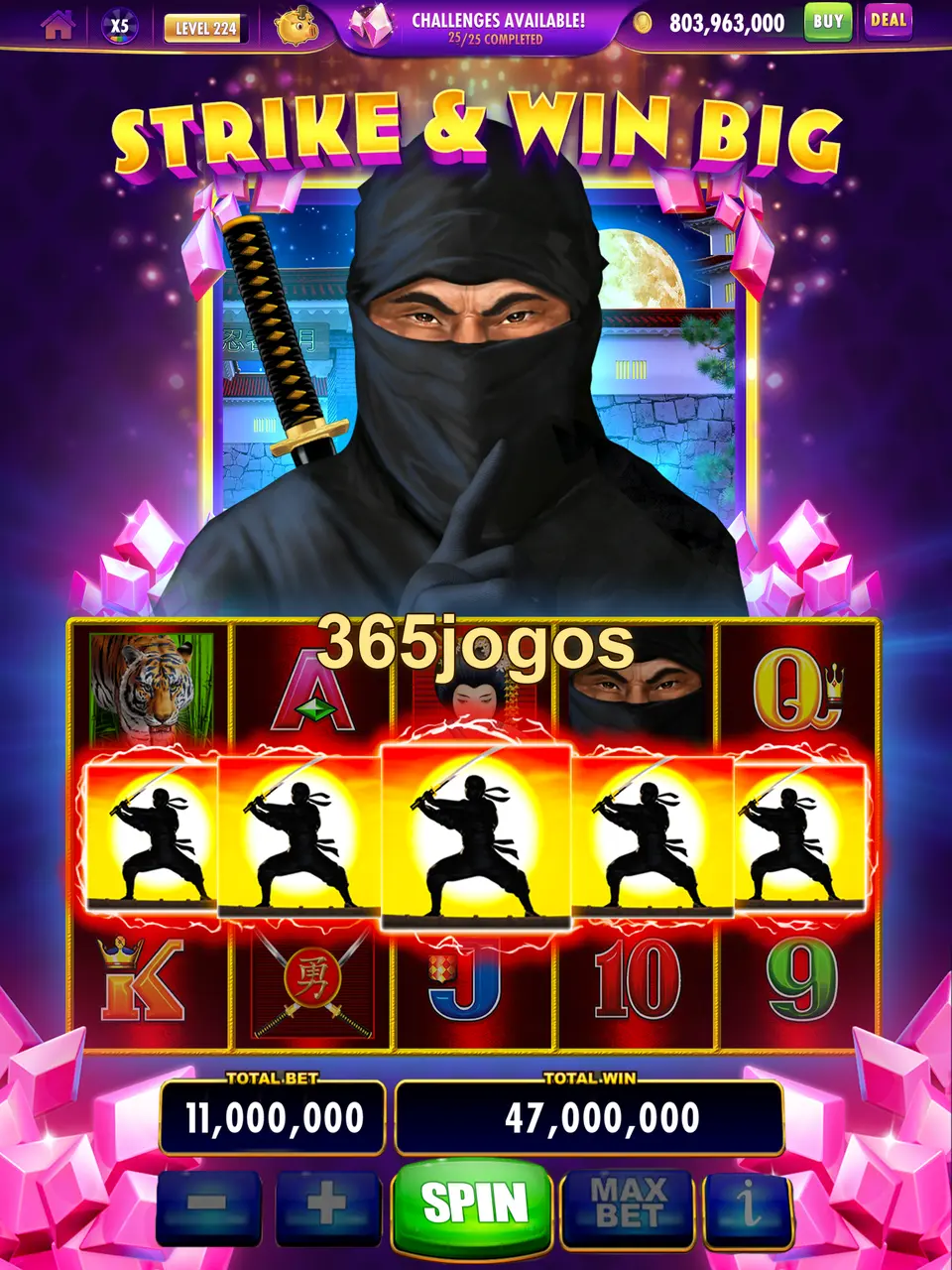 365jogos Login